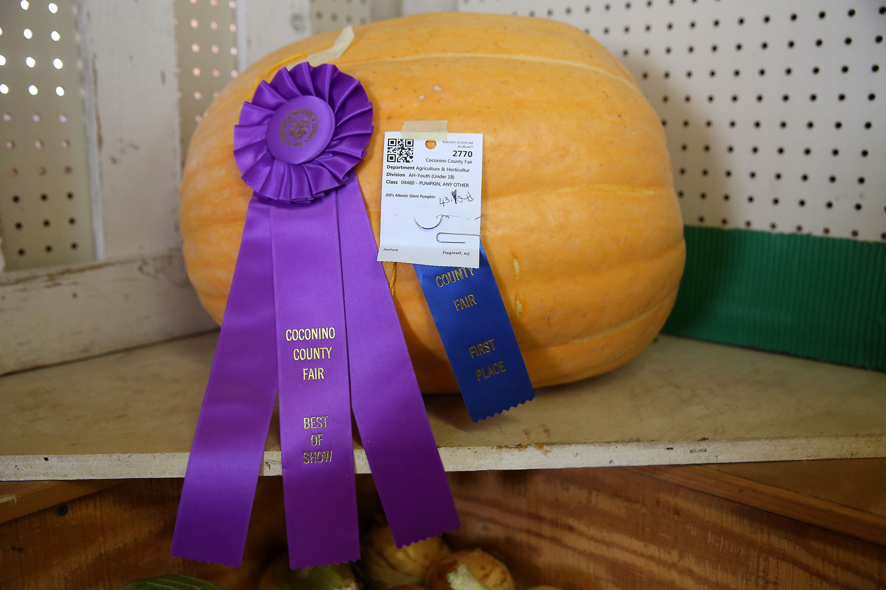 Gorgeous Ginormous Gourd